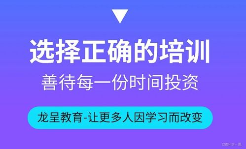 杭州龙呈教育科技 以信息技术咨询服务赋能一流教育体验